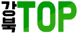 TOP(탑)